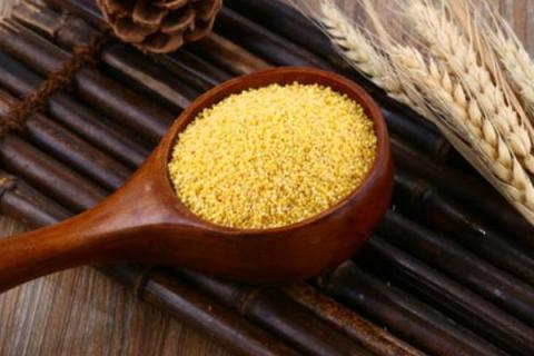 小米出虫了还能吃吗?小米的小白虫和飞蛾怎么产生的?