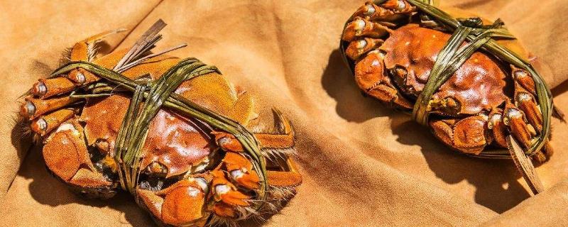 大闸蟹刚刚死了能不能吃了(大闸蟹刚死了还能不能吃了)