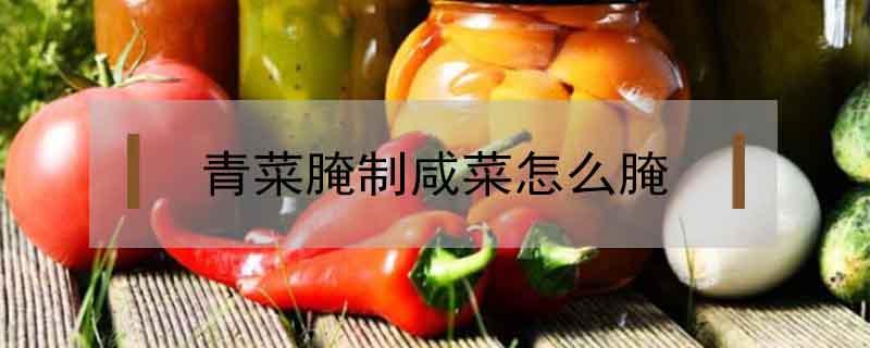 青菜腌制咸菜怎么腌(青菜腌制咸菜怎么腌窍门)