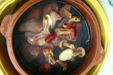 鸽子不能和什么水果一起吃?不能和什么食物吃?