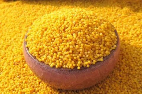 小米出虫了还能吃吗?小米的小白虫和飞蛾怎么产生的?