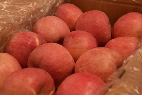 苹果里面发霉了还能吃吗,如果外面果子是好的能吃吗?