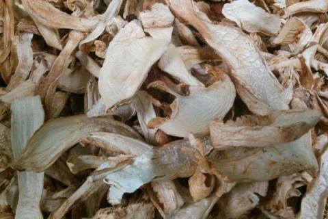 种植松茸一亩多少成本,市场价格多少,种植松茸和野生松茸区别