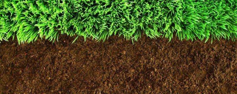 土壤检测费用高吗,一般是多少(土壤检测费用要多少钱)