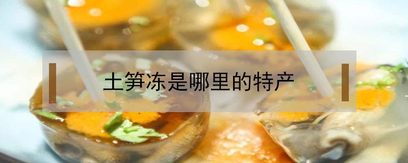 土笋冻是哪里的特产