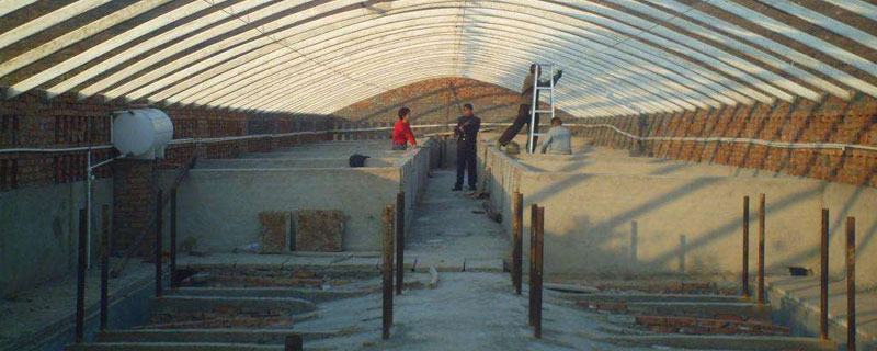 大棚养河蟹（大棚养河蟹怎么养）