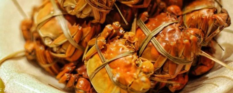 大闸蟹可以多吃吗（大闸蟹季节什么时候最好吃）