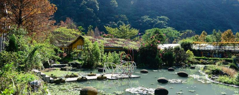 10亩小型生态农场规划 10亩小型生态农场投资多少