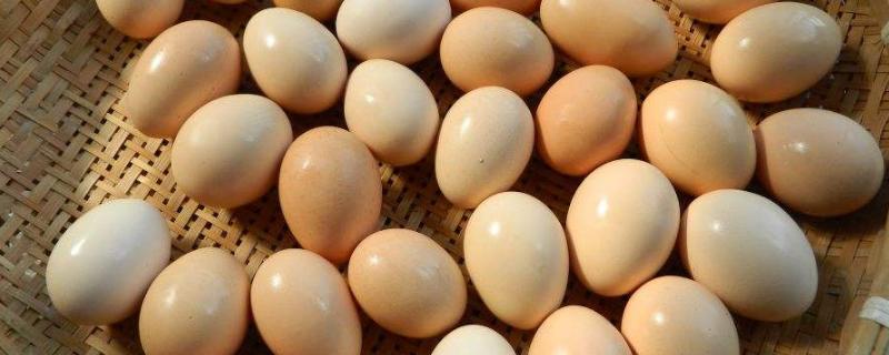 咸鸡蛋臭了还能吃吗?咸鸡蛋保质期多久