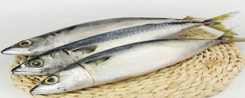 鲐鲅鱼怎么解毒 鲐鲅鱼有毒为什么卖
