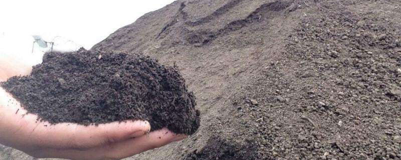 羊粪好还是鸡粪好 种菜羊粪好还是鸡粪好