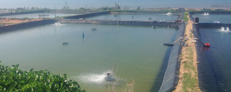 水产养殖技术学什么 水产养殖技术主要学什么