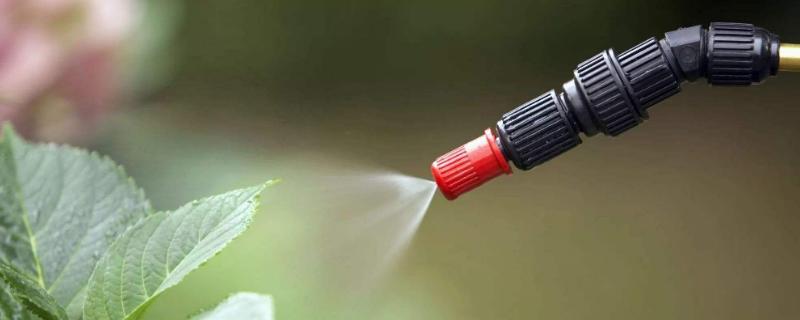 驱鸟剂是农药吗，附正确的使用方法 驱鸟剂效果怎么样