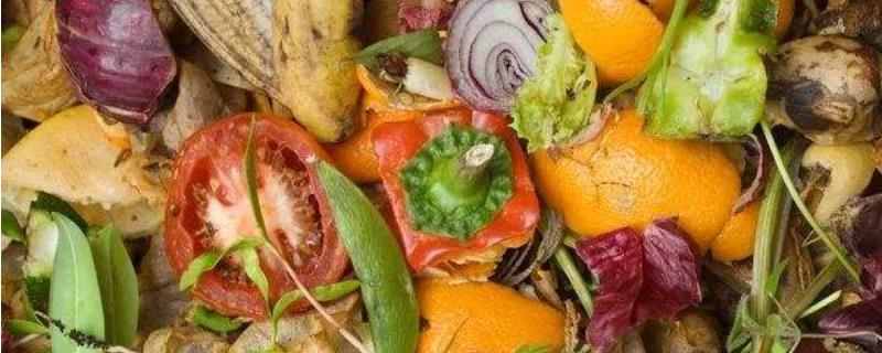 厨余垃圾堆肥后可以作为肥料滋养土壤吗,厨余垃圾是湿垃圾还是干垃圾