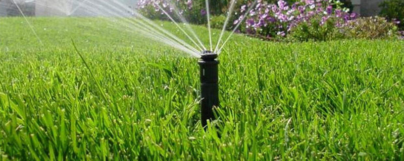 小麦什么时候浇返青水 小麦什么时候浇返青水合适