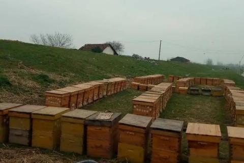 初学养蜂步骤及方法