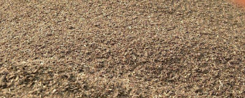 红薯渣可以直接喂牛吗,红薯渣是否属于粗饲料