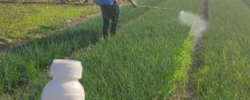 虫螨·茚虫威用法和用量，附注意事项（虫螨䒢虫威）