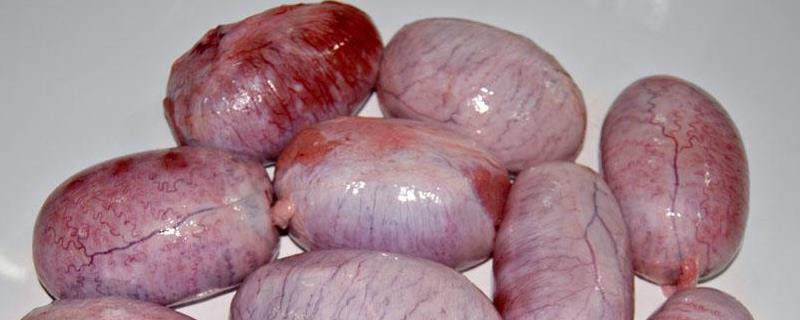 猪蛋怎么处理才能吃，是什么器官（猪蛋的处理方法）