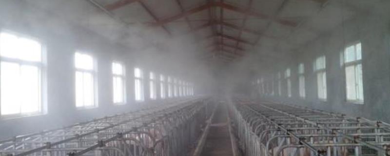 养殖场除臭剂，对身体有害吗 养殖场去臭剂