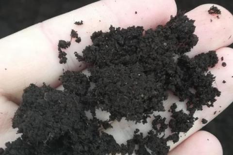 蓝莓扦插繁殖技术,什么时候适合扦插