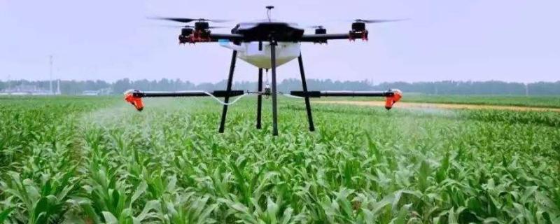 农药的主要成分,农药的危害有哪些(农药成分及作用)