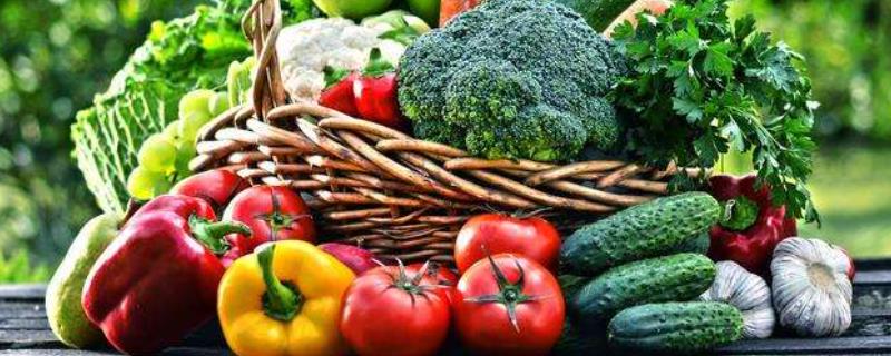 影响农产品供给的因素有哪些,农产品供给与价格的关系