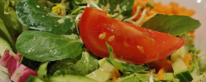 蔬菜沙拉有哪些菜（蔬菜沙拉有哪些菜可以做）