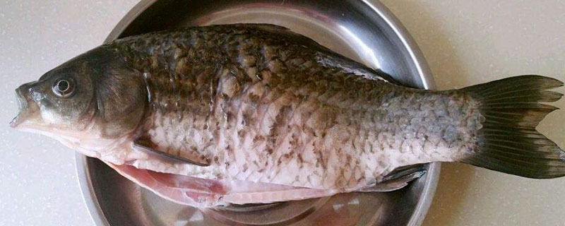 鲫鱼怎么杀（鲫鱼怎么弄干净）