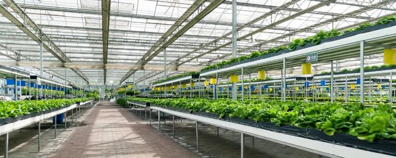 立体农业的原理，立体农业的特点 立体农业的主要原理