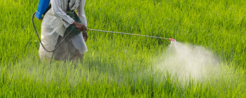 己唑醇在水稻上防治哪些病,己唑醇的使用方法
