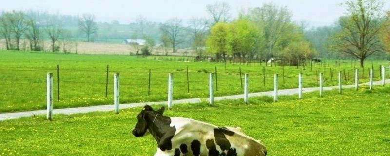 现代绿色种植配套技术措施包括,绿色种植的意义