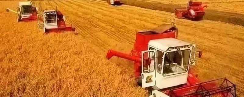 农村股份经济合作社是什么意思,与村委会有什么关系