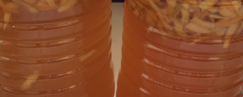 农业酵素菌肥制作方法,酵素肥料怎么使用