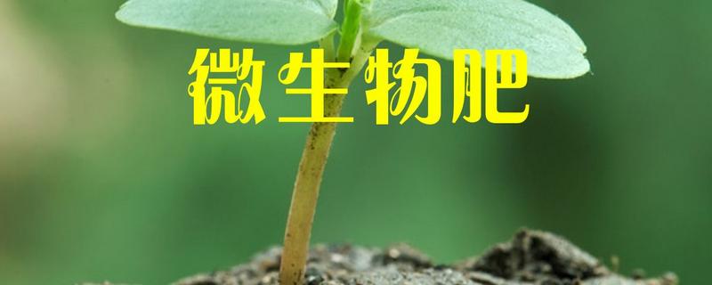 微生物肥料有哪些,与化肥的关系