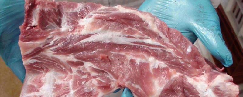 吃猪颈骨的危害,猪颈骨是猪的哪个部位