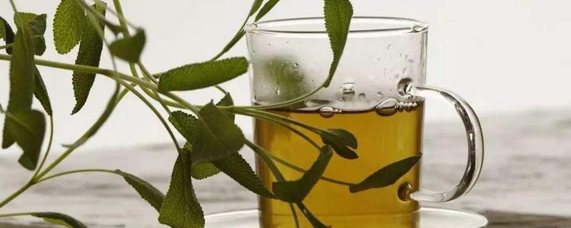 茶叶能浇花吗,常见的茶叶有哪几种 茶叶能浇花吗?