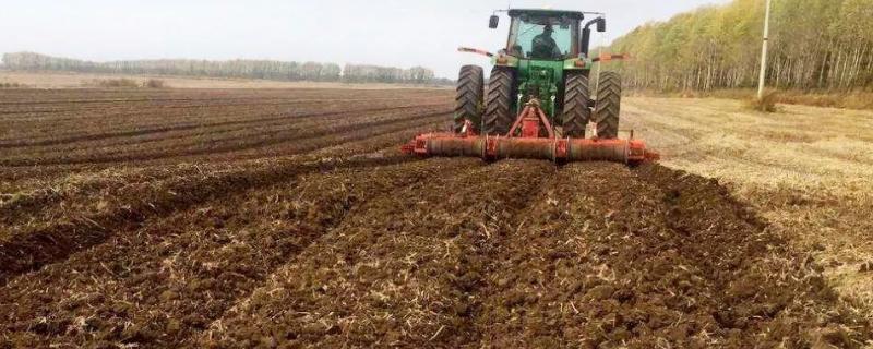 整地的基本步骤,整地的方法有几种(整地的方式)