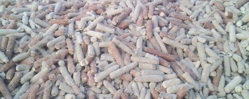 玉米芯能喂羊吗,玉米芯能加工成什么产品