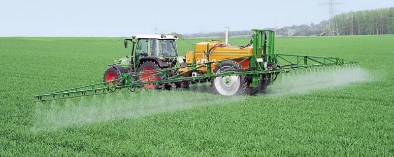 烟嘧磺隆残留期多长，主要杀什么草 烟嘧磺隆药害解救方法