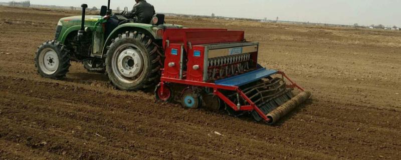 山东小麦播种最佳时期,附种植方法 山东省小麦最佳播种期是什么时候