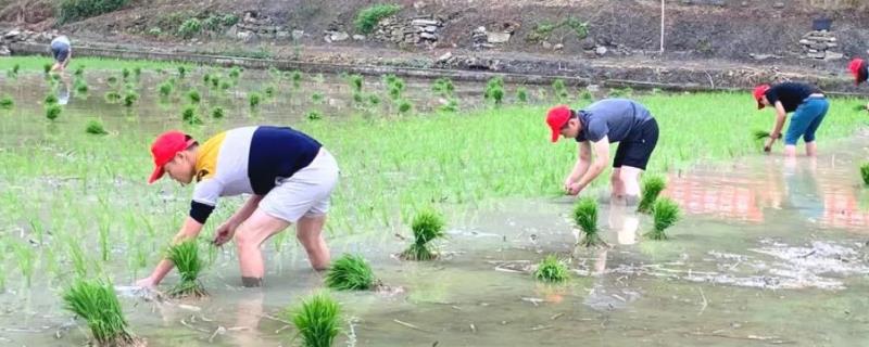 农业生产上的互助合作形式有，互相合作的原则是什么