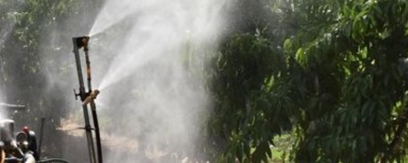 草铵膦和百草枯一样吗,草铵膦对人的毒性大吗