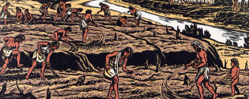 原始农业耕种方式由什么到什么，原始农业产生的时间