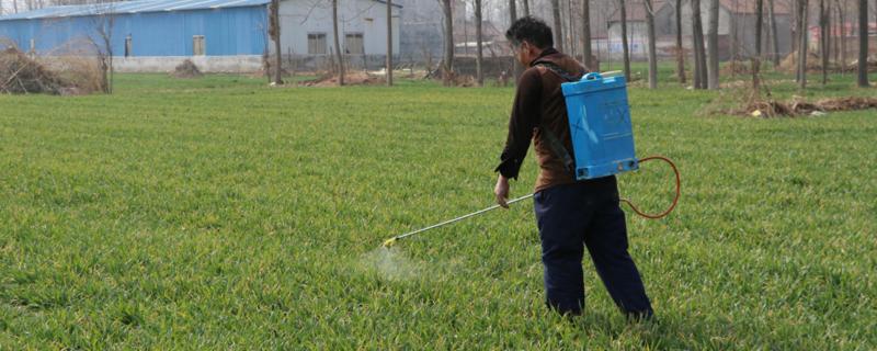 莠灭净除草剂用途,对哪些科的草有效