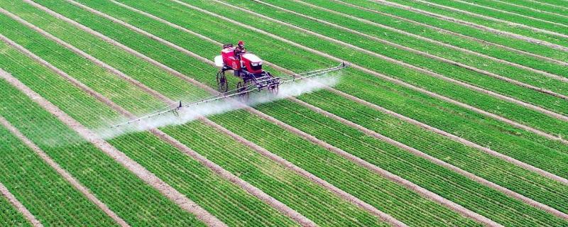 乙羧氟草醚禁忌作物,对下茬作物有没有影响