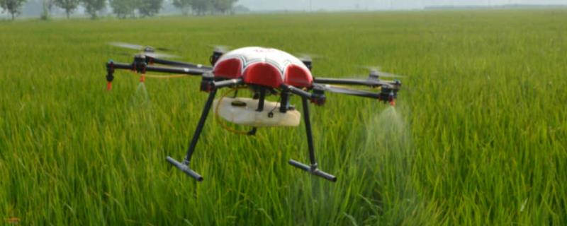 敌草快和草铵膦的区别,附敌草快的使用注意事项