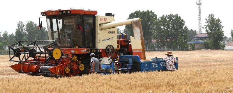 收割机收的粮食不干净怎么调,一天能收割多少小麦