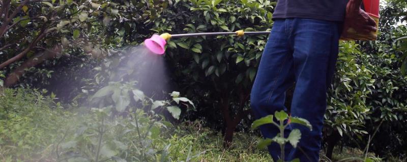 叶面肥复硝酚钠与尿素配比,叶面肥复硝酚钠有什么作用