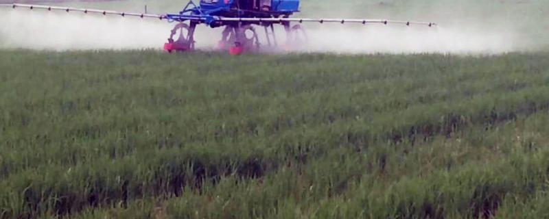 植物源农药一般分为，附优缺点（植物源农药作用机制）